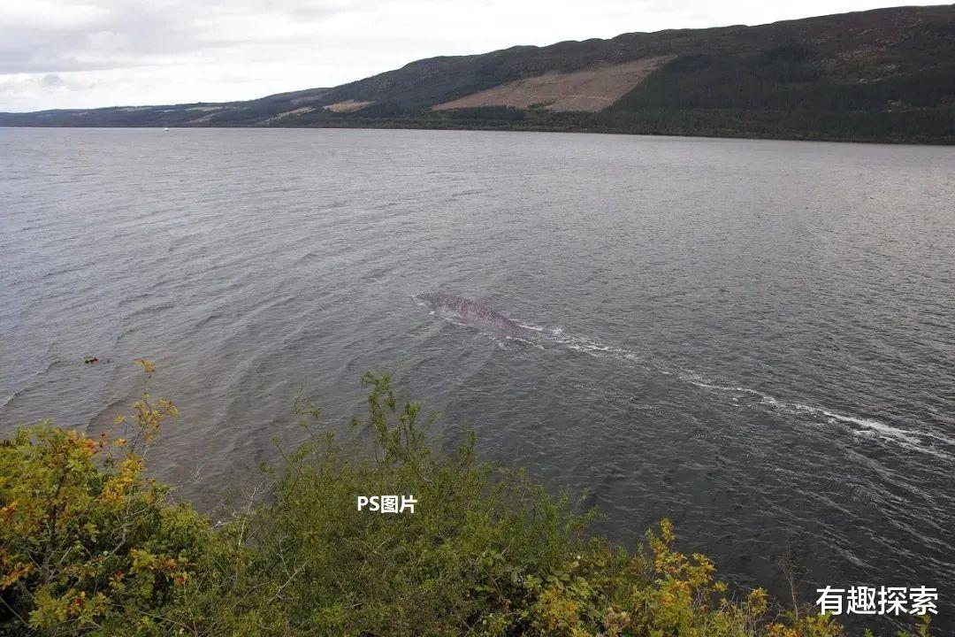 尼斯湖水怪|出现声纳图10秒，尼斯湖水下170米有宽10米生物，是什么？
