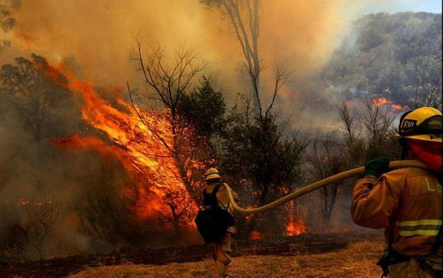 美國多地出現火災！超7000公頃土地被燒，8000美國民眾緊急撤離-圖2