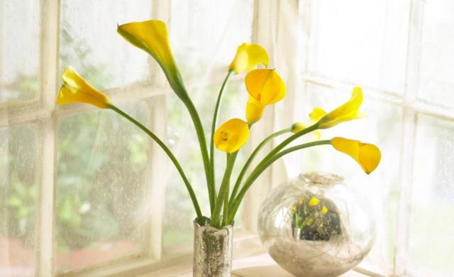 生肖|8月,好运翻涨,贵人降临,4生肖事业逢凶化吉,爱情枯木开花