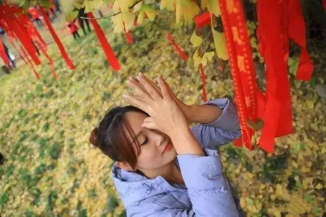 寺庙|因为一棵树，火了一座城，这棵“千年银杏”火到了国外，你去过吗