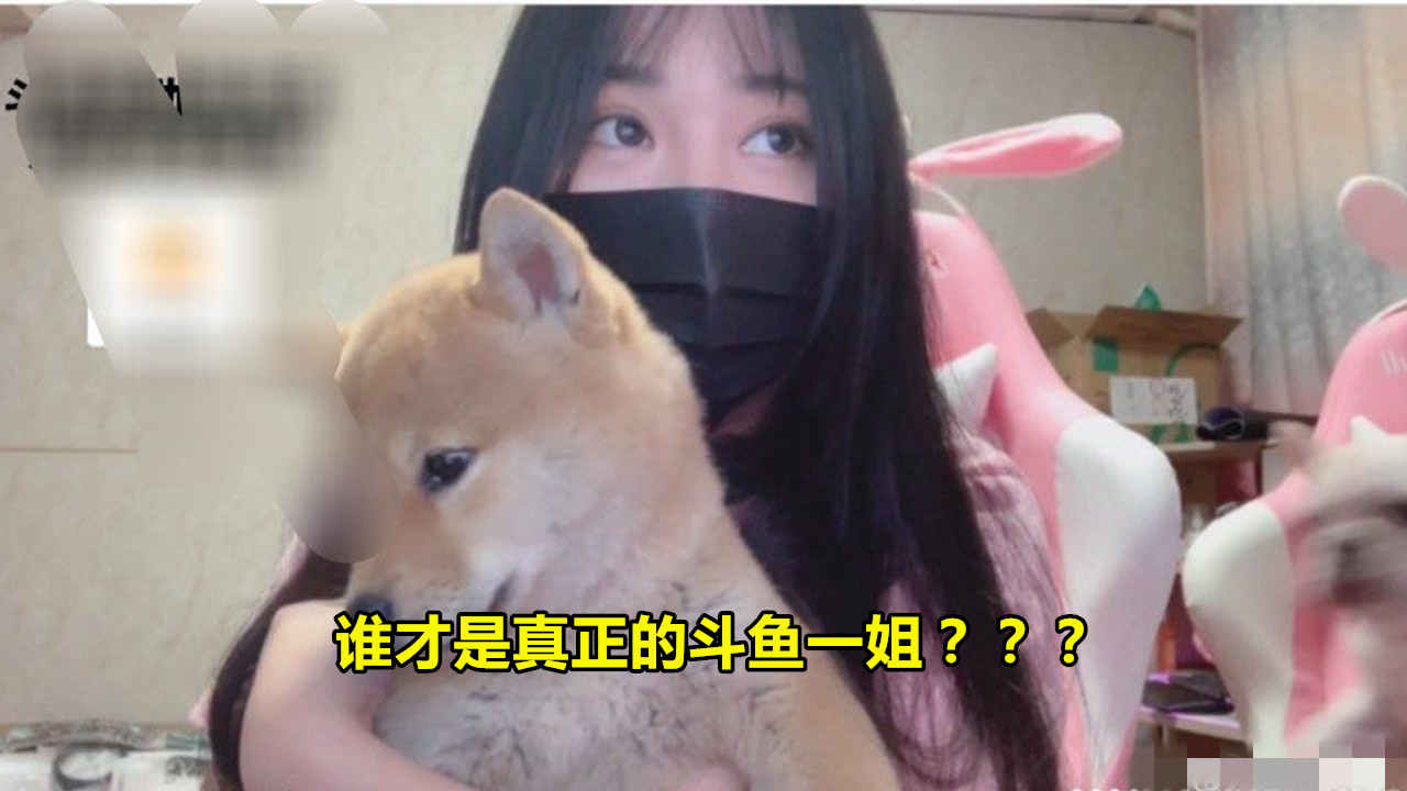 #呆妹儿#小团团呆妹儿谁才是斗鱼一姐？看完两人7天的付费礼物收入，差距有点大