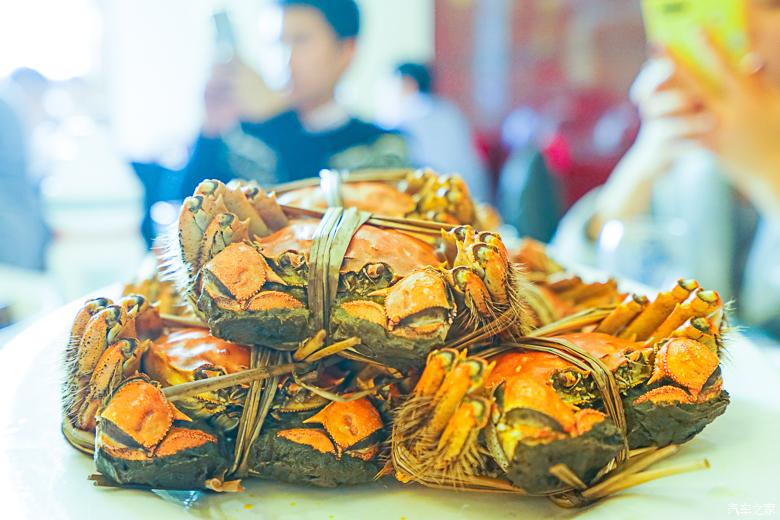 古镇@情丝震泽，归隐于记忆的水乡江南