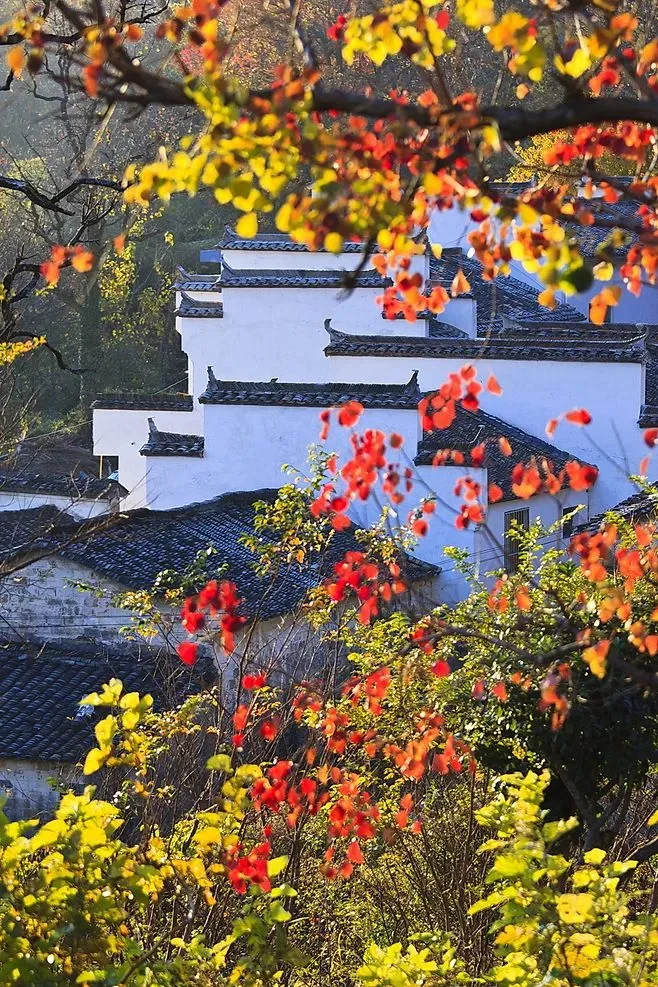 自驾|“金九银十”非热门自驾目的地出炉，个个惊艳，附探秘路线