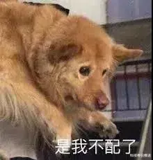网易有道|进化后的学习机，玩起来有多爽？