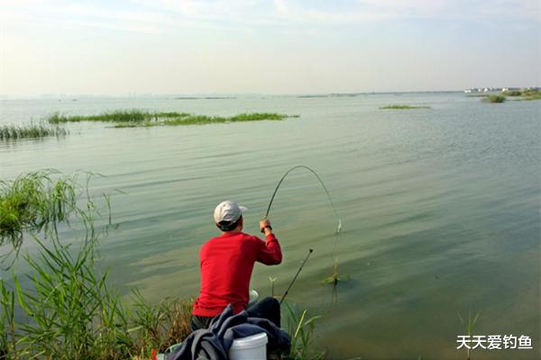 |仲秋钓鱼钓边边，肯定不是离岸三米三，用这些老套路，钓更多的鱼
