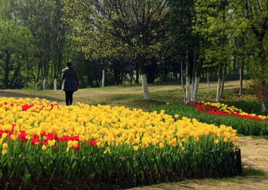 吉星|8月中旬开始，吉星照耀，4属相事业一帆风顺，日子红红火火