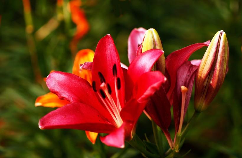 金牛座|10月下旬，旧情萌发转机，爱情大逆转，与前任重获甜蜜的四大星座