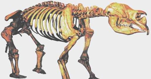 食人树▲地球上最“诡异”恐怖的5种神秘生物极有可能存在，人类的天敌