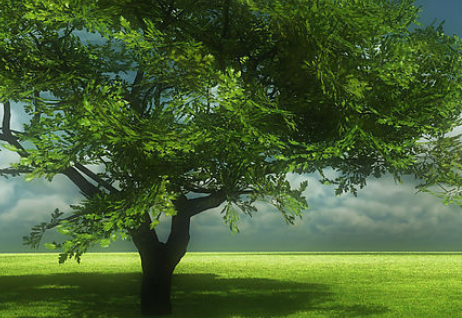 【生肖】未来一个月，3大生肖贵人运来袭，接住好运，财运越来越旺！