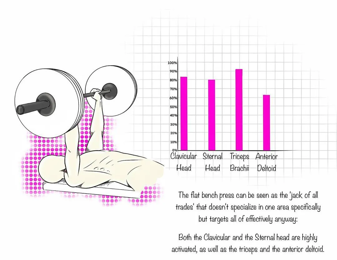 深蹲|本文极易引起健身姿势刷新，请务必认真阅读