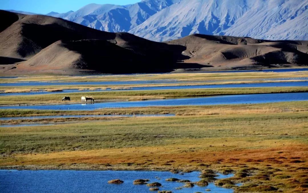 「新疆维吾尔自治区」从新疆出发，中国最长最美公路横空出世，一路顶级风光！