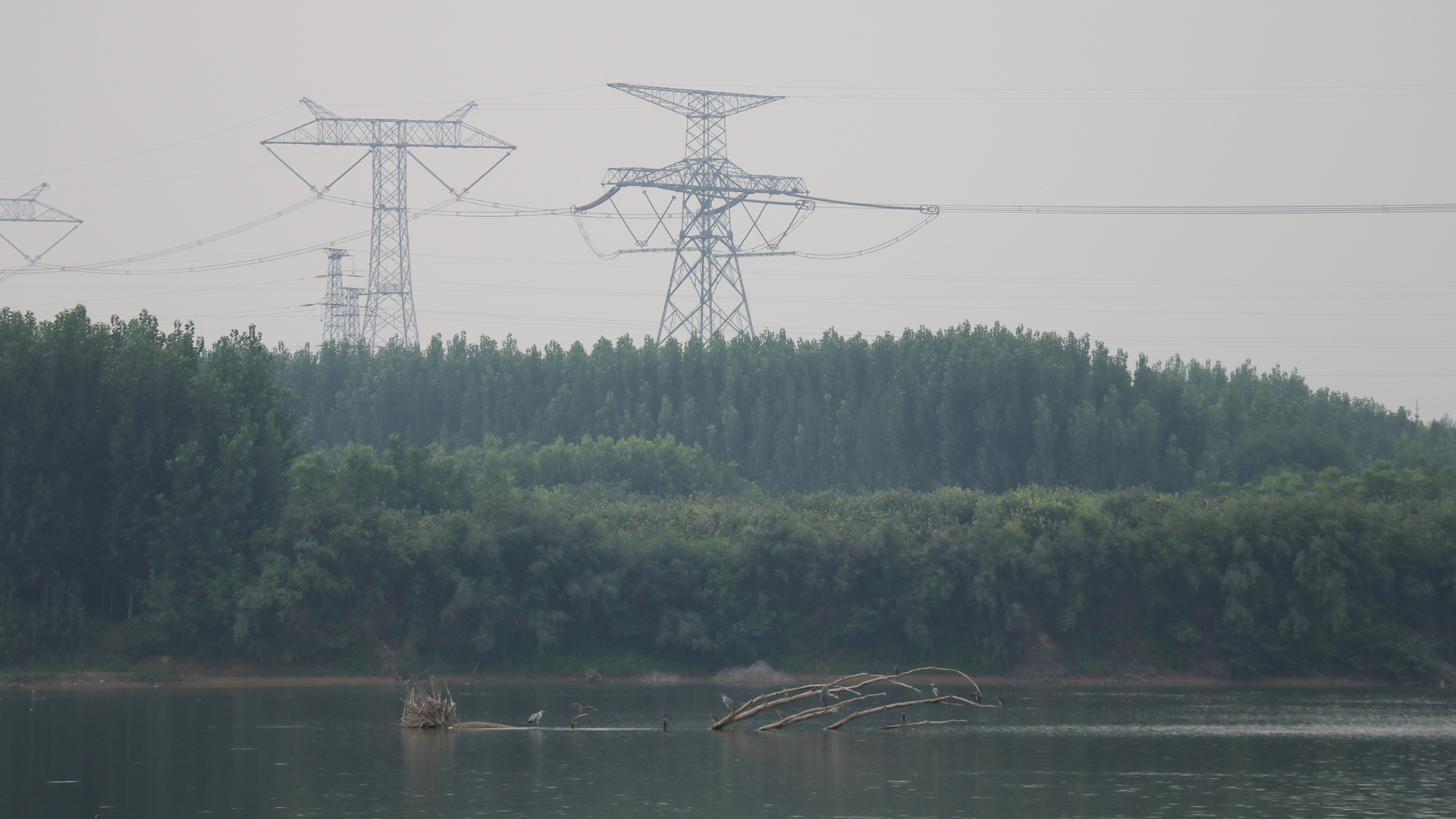 鲫鱼|秋季钓鲫鱼的五个技巧,你应该知道