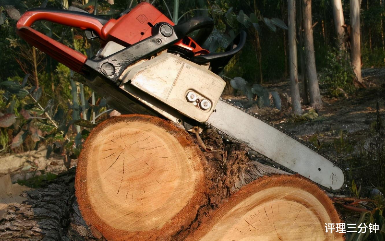 评理三分钟|四川八旬老人雇人砍树做棺材，称混乱之中被副支书妻子扇耳光，警方介入调查