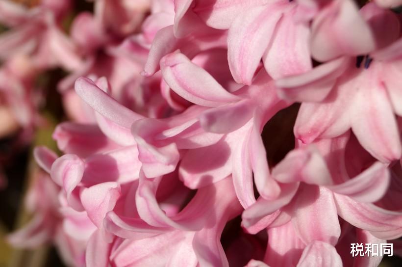 [生肖]6月下旬，财运转好的3生肖，大吉大利，未来前景无限好