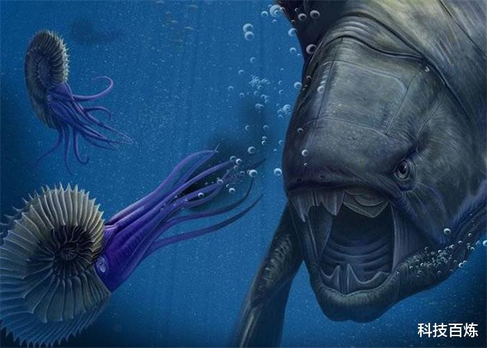「邓氏鱼」这3种史前生物如果没有灭绝，人类谁敢进入海洋？