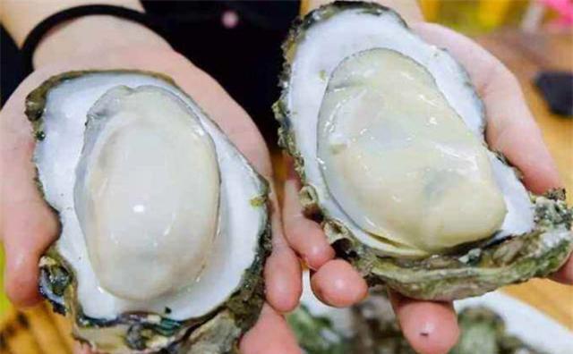 烧烤|海鲜界的双胞胎，明明长得一样，为什么一个叫生蚝，一个叫牡蛎？