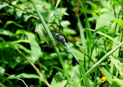 |庭院设计-空间设计