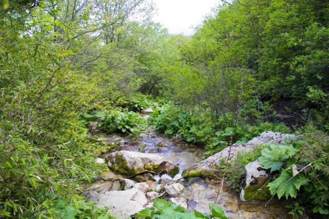 「秦岭」寻访秦岭光头山：又险又好看！自驾不让上？爬也要爬上去打一次卡