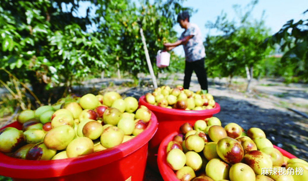 白菜|它过去比猪肉贵还不愁卖，现降到“白菜价”却被嫌弃，这要怪谁？