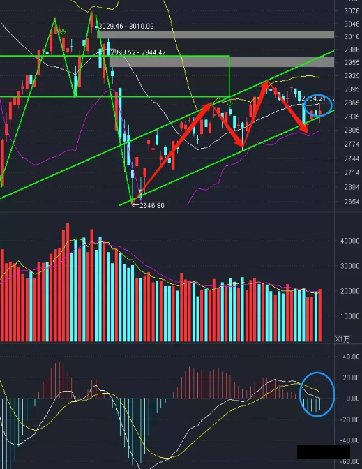 『集成电路』A股虎躯一震，上演逼空行情！明天要大涨？
