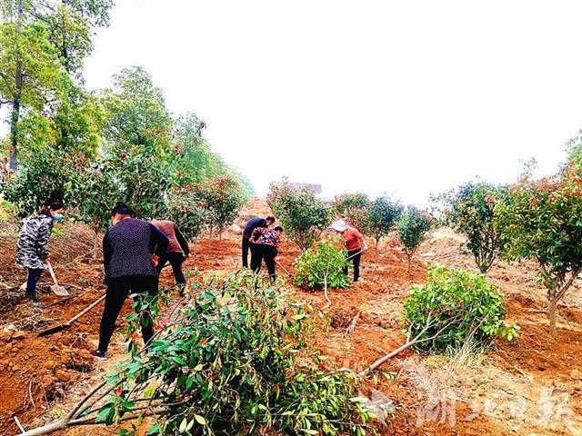 隔离■国务院和湖北省已发通知！这件事，再不抓紧做就晚了