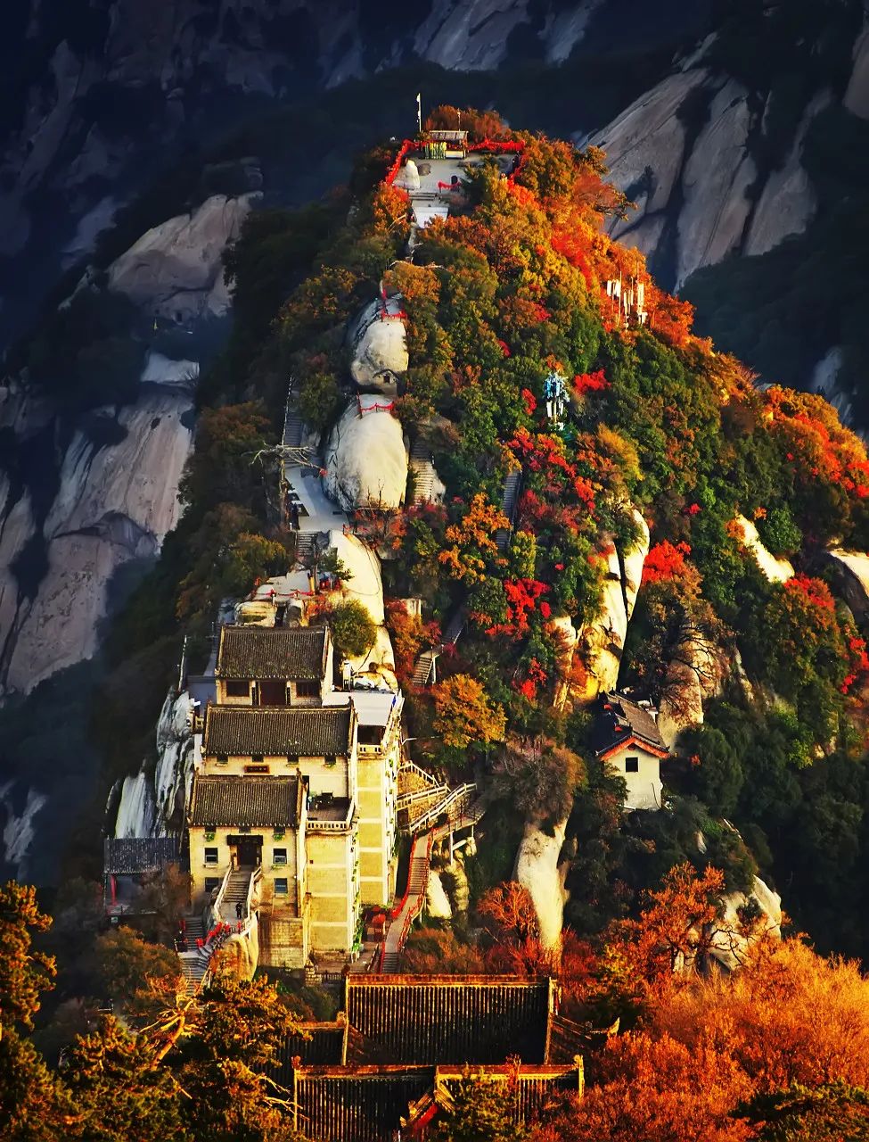 旅行|“最近，千万别去秦岭！”