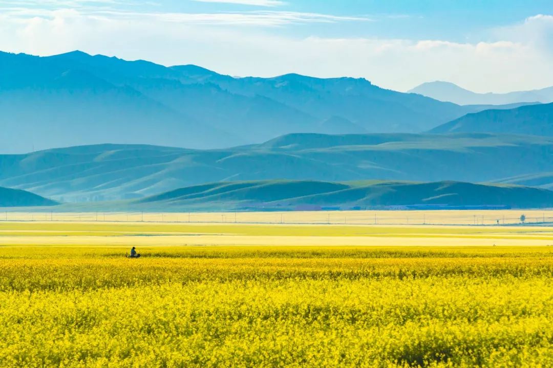 【新疆维吾尔自治区】去了北疆才知道，中国有多大；去了南疆才知道，中国有多美 美人美景
