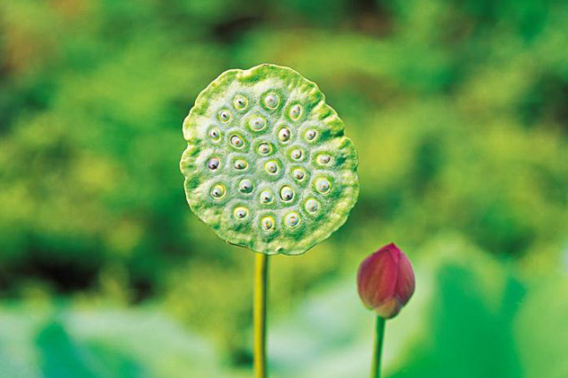 运势|农历十月运势顺利无比的3个生肖,财气回暖桃花当红,喜事成双对