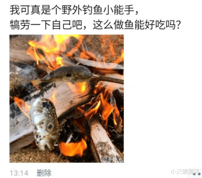 |“我可真是个野外钓鱼小能手，话说这么做鱼好吃吗？”大哥你还好吗哈哈哈哈