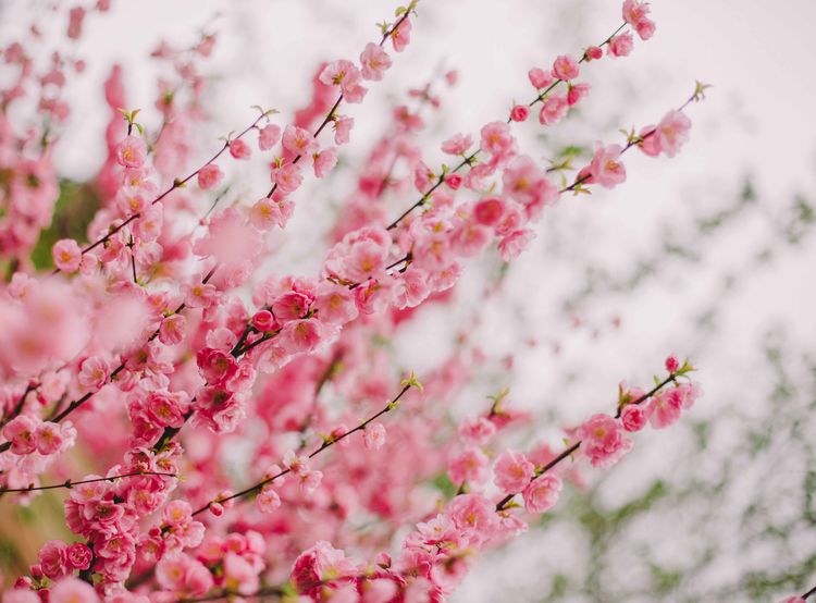 旧爱|9月份内,桃花旺,旧爱回头,跌跌撞撞,爱情死灰复燃的四大星座