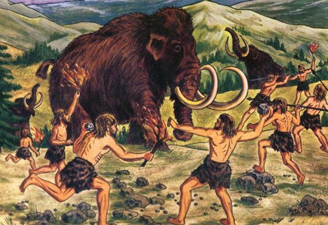 |动物大都进化出攻击性的器官,人类为什么没有?