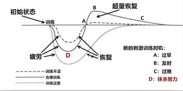 健身|肌肉男，1个月不健身，会变成什么样？