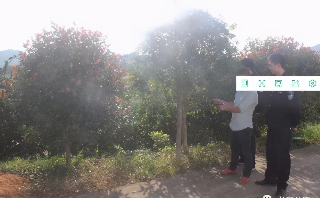 神鸟知讯资讯站|7元1斤柿子被要价1个1千，大爷紧抓游客不放：谁让你偷！