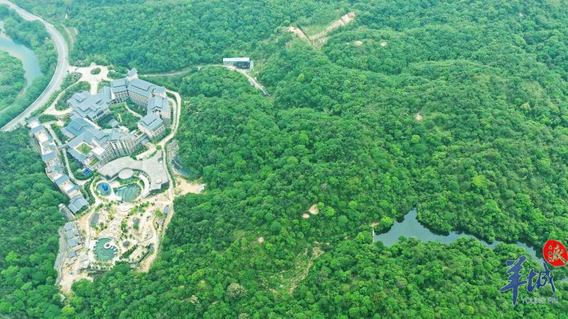 「广州市」【图集】青山绿水连成美好的诗篇!广州乡村游焕发生机