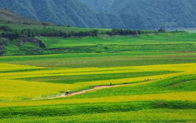 『鸭绿江』一条高颜值沿江公路，将迎来最适合自驾季节！赶紧纳入旅行清单！