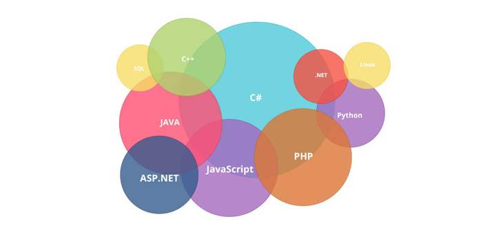 电子商务|报考指南:2020年高考十大热门专业