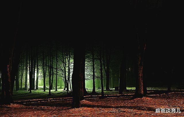 『三体』杨振宁说看不下去《三体》，为何被教育部列入《中小学生阅读指导目录》