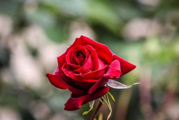 #生肖#此3生肖命中福气多、财气足，6、7俩月有财神光顾，赚得滚滚财