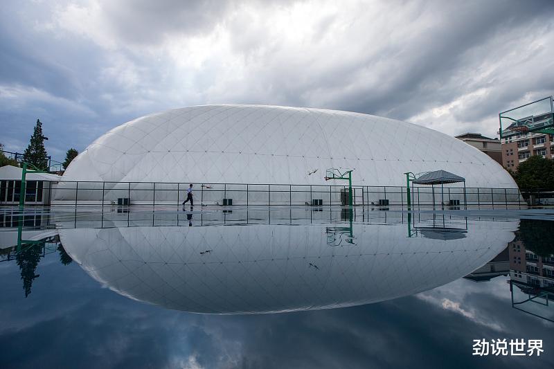 浙江大学|女子从十楼扔下菜刀,被判刑1年10个月,随之,浙江大学被抛出.....