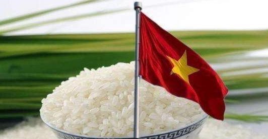 越南|越南人再次头疼,快要撑不下去了?于是向中方提出“大胆要求”