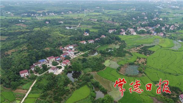 尚一网|常德丁玲故里的美丽蝶变