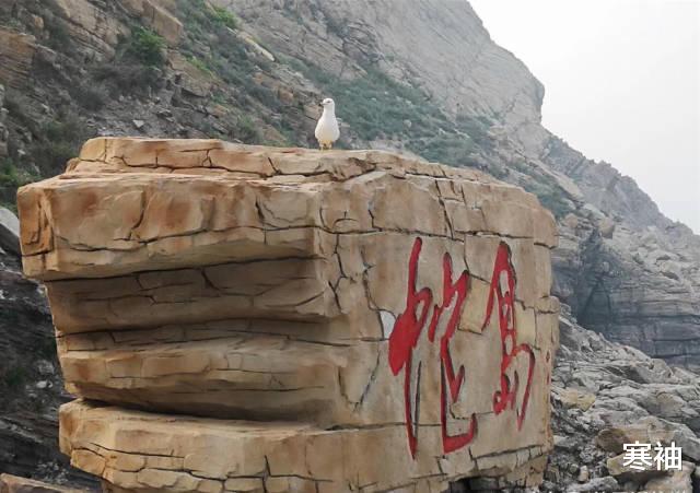 :中国无名蛇岛,栖息2万多条毒蛇,政府每天送吃送喝却不对外开放