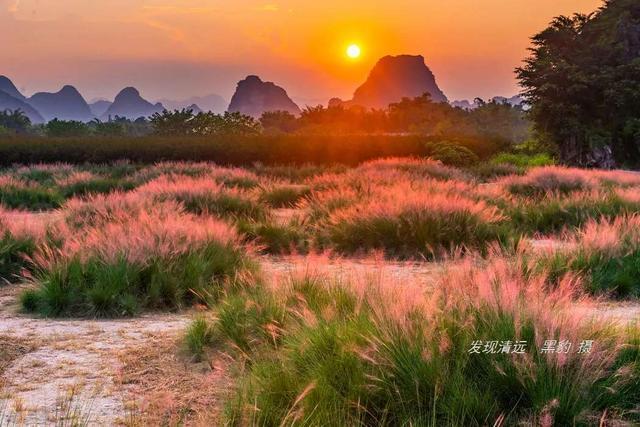 英西峰林|藏在清远英西峰林的绝美浪漫粉色花海，走入其中仿佛进入爱丽丝仙境。