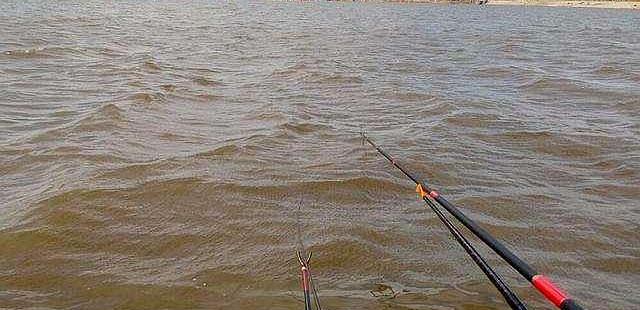 『』刮风天如何钓鱼？记牢几个细节，凤天也能上大鱼