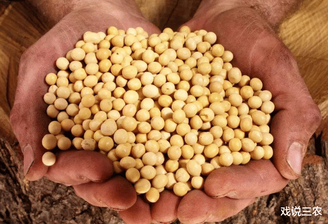 【农产品】下半年农民赚钱的好机会来了！3样农产品或现“涨价潮”，好好把握！