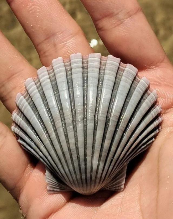 [大千世界]大千世界无奇不有，你一辈子都见不到的照片