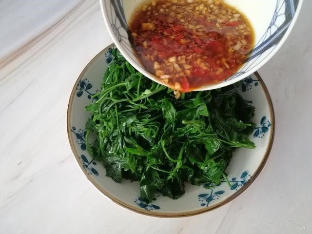 鸡蛋|人没老,腿先老!路边的“天然钙库”,补钙比鸡蛋强太多,还免费