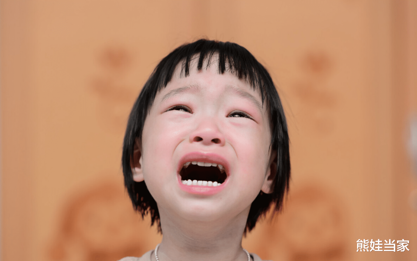 熊娃当家|孩子上学遭老师抽耳光,宝爸当场报仇:110带我走,120带你走