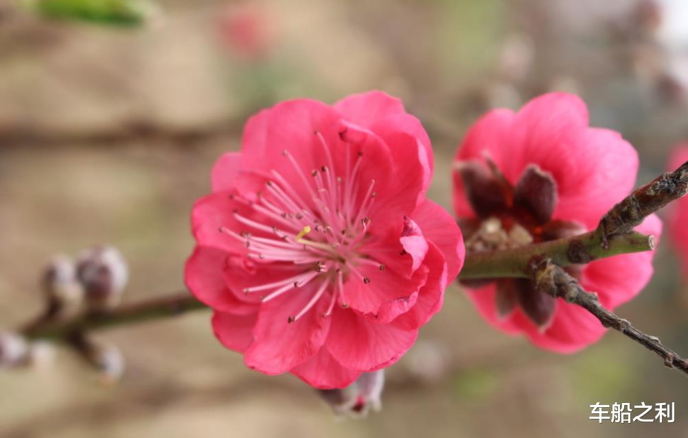 『霉运』告别霉运的3个生肖,6月30号,金钱收获越来越多,存款多多