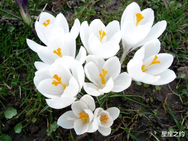 「」在5月份，不再颓废，风雨兼程，脱胎换骨的三大星座